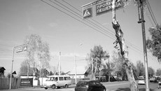 Теперь на пешеходном переходе должно стать безопаснее. Фото с сайта sib-fm.ru