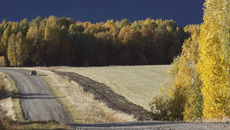 Фото Аркадия УВАРОВА