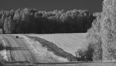 Фото Аркадия УВАРОВА