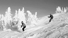 Одобрен проект спортивно- оздоровительного центра с аквапарком в Новосибирске
