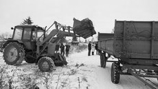 Программа по утилизации отходов идет полным ходом. Фото Аркадия УВАРОВАс