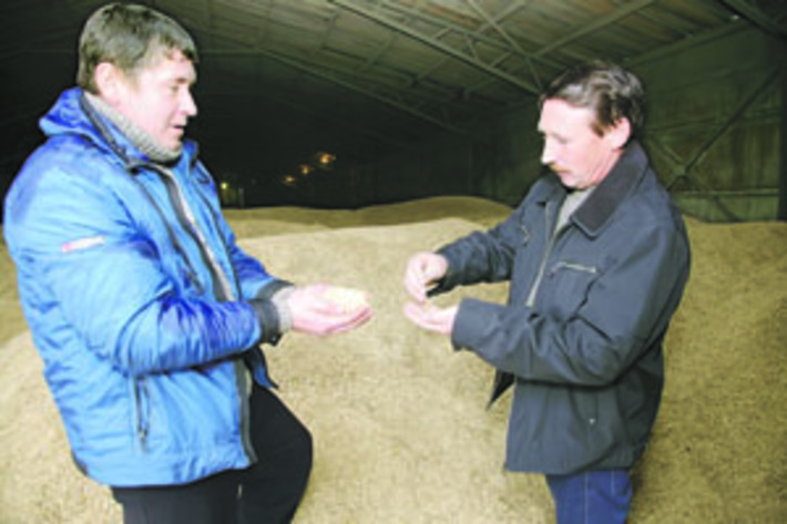 Иван Сапронов и Александр Злобин за осмотром семян. Фото Михаила ПЕРМИНА