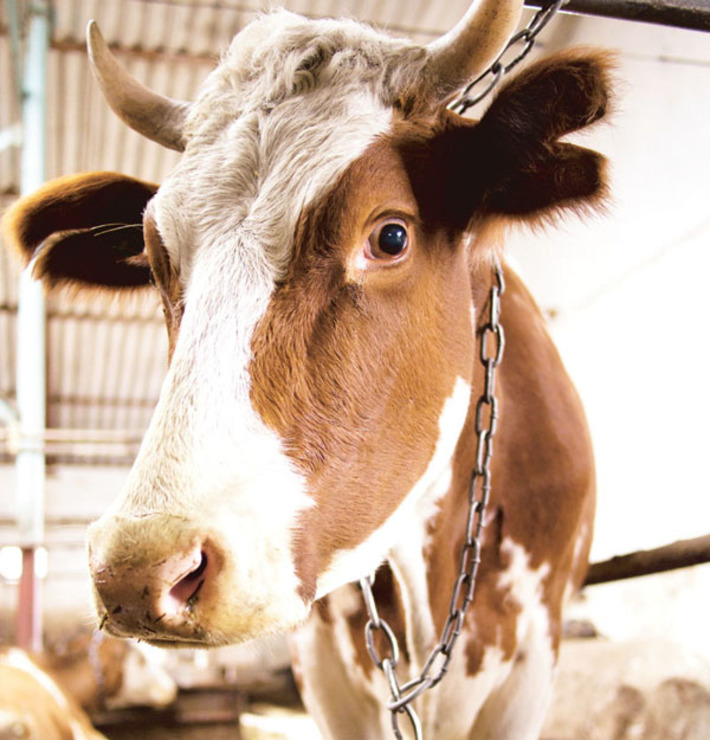 Фото Аркадия УВАРОВА