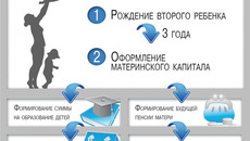 Инфографика Никиты СЕНАТОРОВА