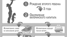 Инфографика Никиты СЕНАТОРОВА