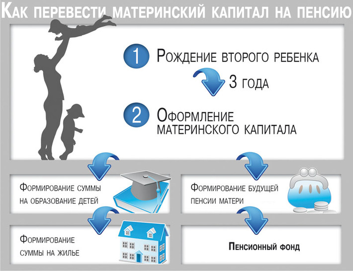 Инфографика Никиты СЕНАТОРОВА