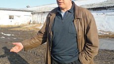 «Сельское хозяйство — это не работа,  а образ жизни», — любит повторять Валерий Турков.  Фото Нины ЕГОРОВОЙ