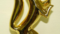 Фото с сайта rhab-npz.ru