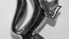 Фото с сайта rhab-npz.ru