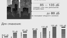 Инфографика Никиты СЕНАТОРОВА