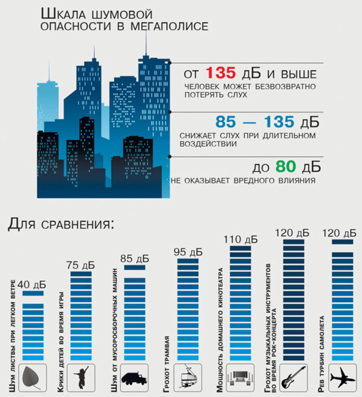 Инфографика Никиты СЕНАТОРОВА