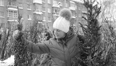 Горожане выбирают елки высотой от полутора до двух метров. Фото Михаила ПЕРМИНА
