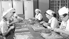 Полуфабрикаты от СПК «Заря» — ручная работа и натуральные ингредиенты. Фото Михаила ПЕРМИНА