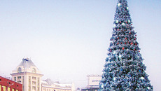 Фото с сайта www.fotki.yandex.ru