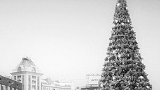 Фото с сайта www.fotki.yandex.ru