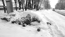 Типичная картина на улице Войкова — центральной улице жилого массива «Мошнино». Фото Анатолия СМИРНОВА