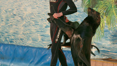 Фото Аркадия УВАРОВА