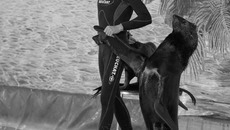 Фото Аркадия УВАРОВА