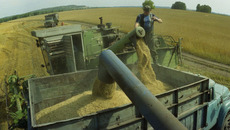 Страда, поле, хлеб — жизнь Владимира Петровича всегда была связана с этими родными понятиями. Фото Бориса МОСКВИНА (архив)