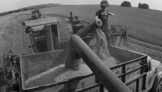 Страда, поле, хлеб — жизнь Владимира Петровича всегда была связана с этими родными понятиями. Фото Бориса МОСКВИНА (архив)