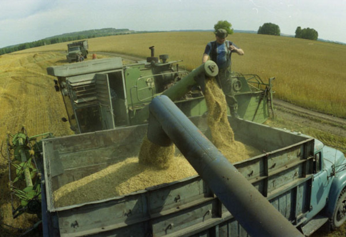 Страда, поле, хлеб — жизнь Владимира Петровича всегда была связана с этими родными понятиями. Фото Бориса МОСКВИНА (архив)