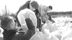 Подготовка рыбопосадочного материала к перевозке. Фото предоставлено департаментом природных ресурсов и охраны окружающей среды Новосибирской области