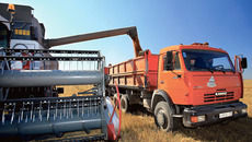 Идет зерно! Хороша пшеничка… Фото  Павла КОМАРОВА (архив)