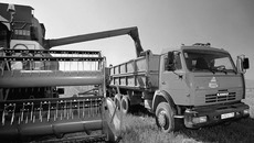 Идет зерно! Хороша пшеничка… Фото  Павла КОМАРОВА (архив)