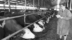 Фото Сергея ДЯТЛОВА (архив)