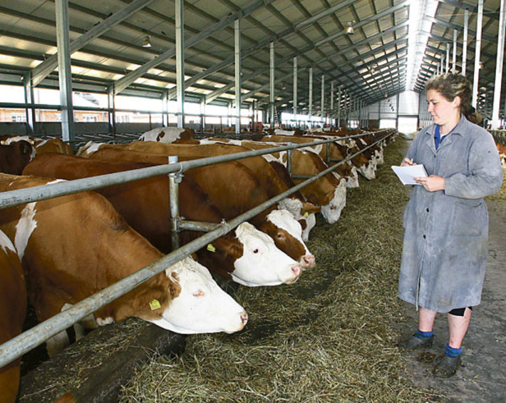 Фото Сергея ДЯТЛОВА (архив)