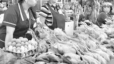 Из-за сурового климата в потребительскую корзину новосибирцев решено включить больше мяса и фруктов. Фото Аркадия УВАРОВА