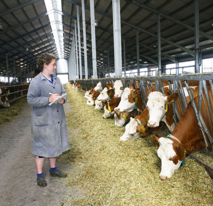 Молочная отрасль — та сфера, которая приносит аграрному сектору хорошую прибыль. Фото Сергея ДЯТЛОВА
