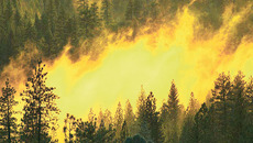 Фото с сайта www.ecocollaps.ru