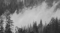 Фото с сайта www.ecocollaps.ru