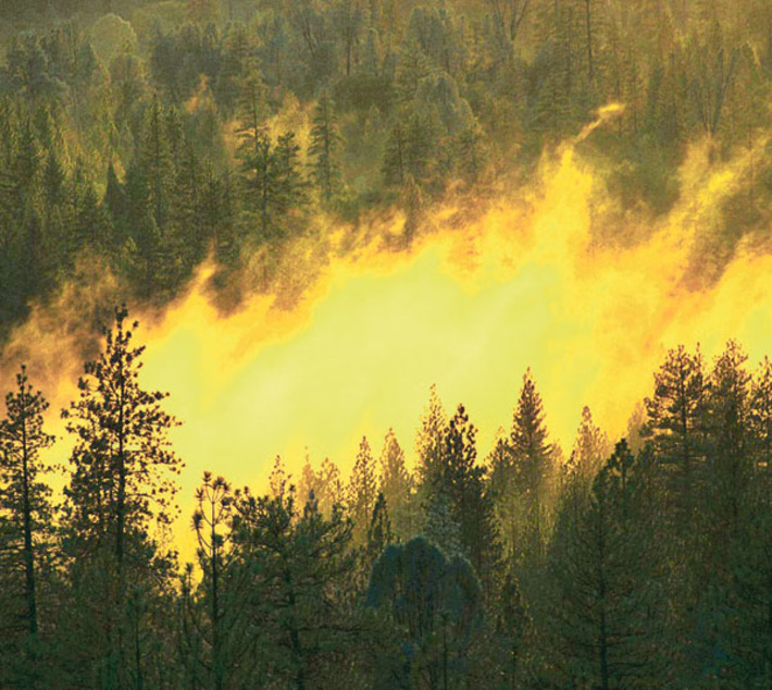 Фото с сайта www.ecocollaps.ru