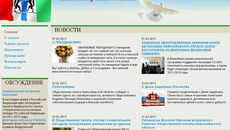 Скриншот сайта общественной палаты www.opnso.ru