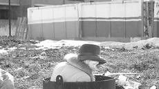 Вот она, мода улиц. Фото Елены ИВАНОВОЙ