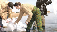 В прошлом году в водоемах Новосибирской области появилось 94 миллиона молодых «новоселов». Фото Михаила ПЕРМИНА