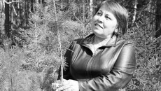 Восстановление лесов — неотъемлемая часть работы с зеленым богатством. Фото Сергея ДЯТЛОВА