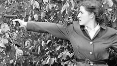 Фото с сайта kino-teatr.ru