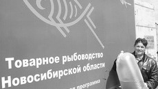 Погрузка рыбопосадочного материала. Фото Михаила ПЕРМИНА
