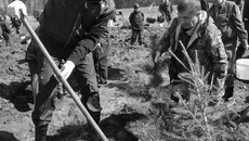 Если за работу взяться всем миром, то спорится она быстро и весело. Фото Михаила ПЕРМИНА