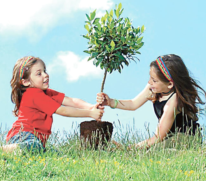 Фото с сайта www.thisoldyard.net