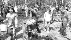 Участники акции высадили в парке 50 елей.   Фото Аркадия УВАРОВА