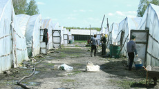 Фото Светланы СЫСОЕВОЙ