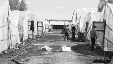 Фото Светланы СЫСОЕВОЙ