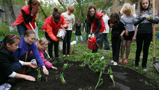 Новосибирцы от мала до велика украшают дворы клумбами, газонами, скульптурами. Фото  Аркадия УВАРОВА