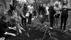 Новосибирцы от мала до велика украшают дворы клумбами, газонами, скульптурами. Фото  Аркадия УВАРОВА