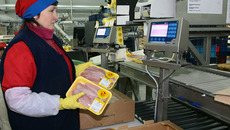 На «Новосибирской птицефабрике» активно ведутся модернизация и реконструкция производственных мощностей. Фото Сергея ДЯТЛОВА