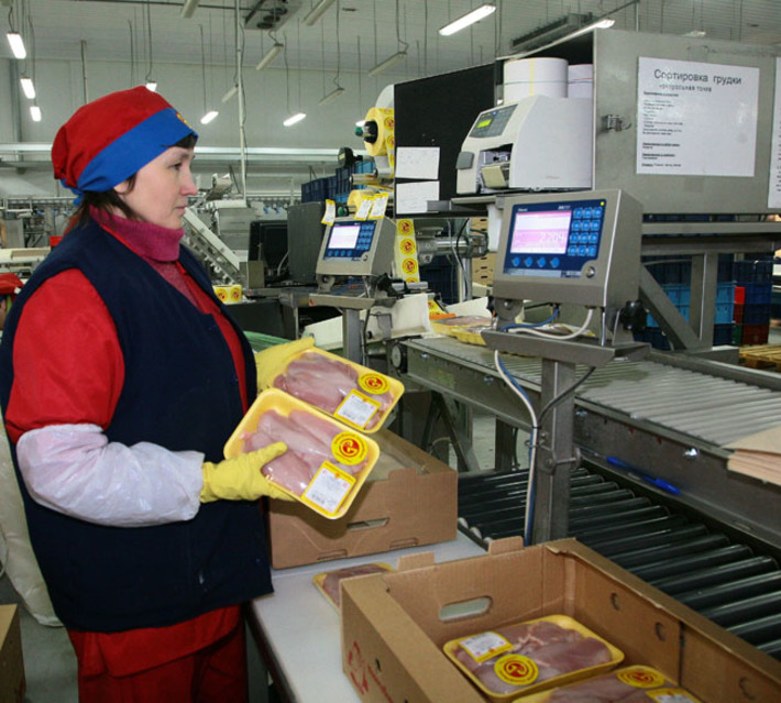 На «Новосибирской птицефабрике» активно ведутся модернизация и реконструкция производственных мощностей. Фото Сергея ДЯТЛОВА